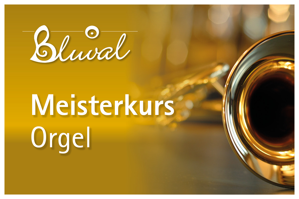 Meisterkurs - Orgel