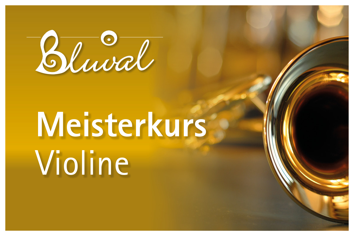 Meisterkurs - Violine