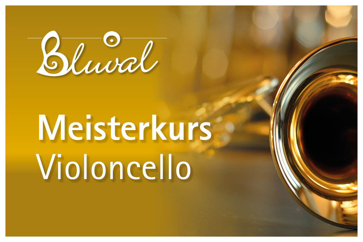 Meisterkurs - Violoncello