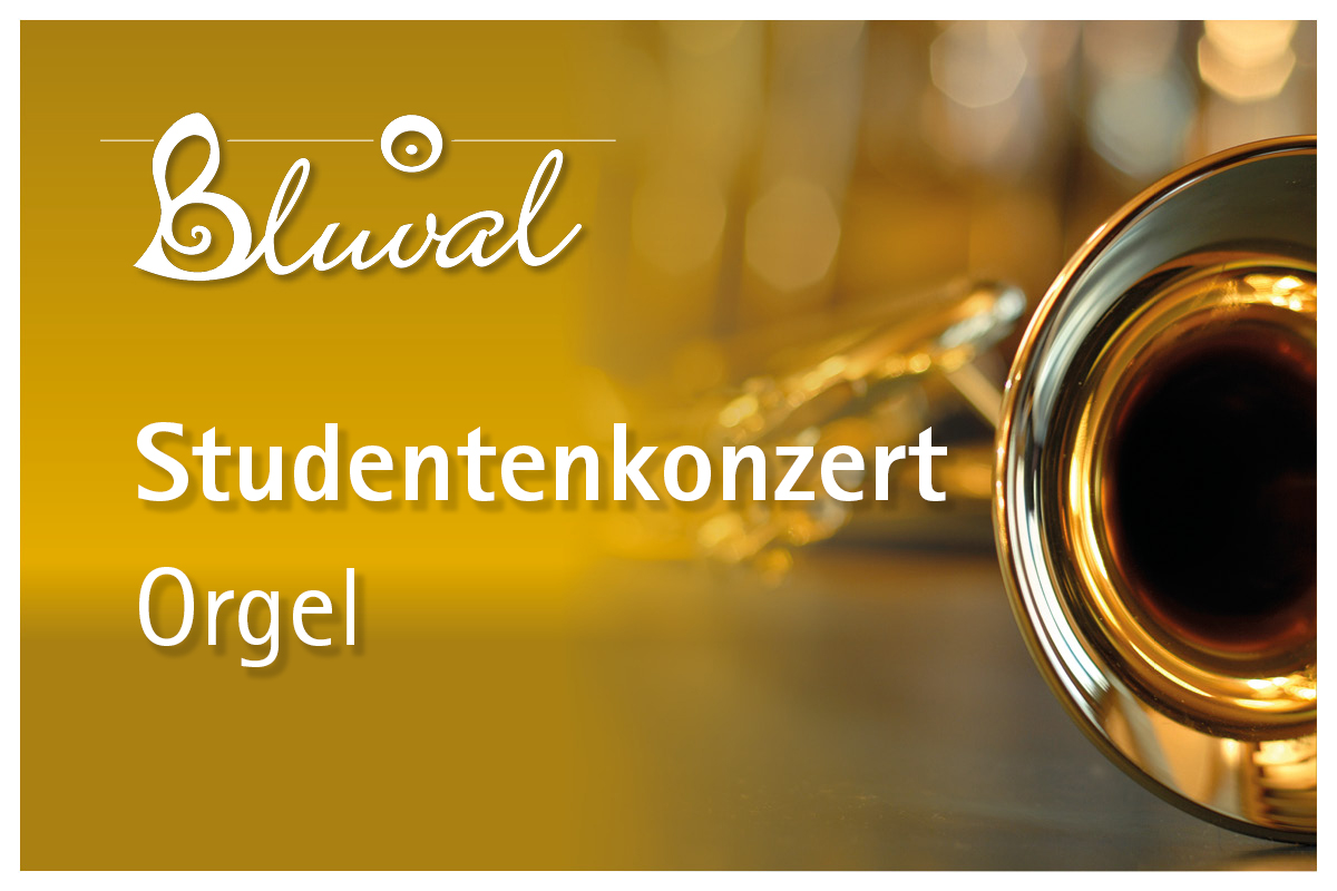 Meisterkurs - Orgel