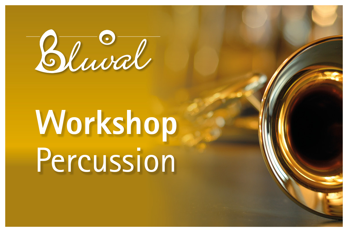 Workshop Percussion mit Double Drums
